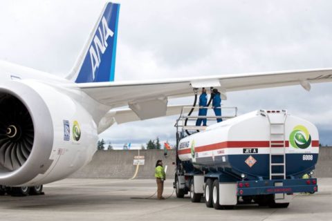 Alleine der japanische Marktführer ANA hat derzeit 17 