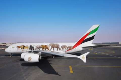 Vor allem Großkunde Emirates, der mit 140 Maschinen fast für die Hälfte aller Bestellungen für das Modell verantwortlich zeichnet, hatte Airbus mehrfach aufgefordert, eine Version mit moderneren Triebwerken anzubieten. Bild: Emirates
