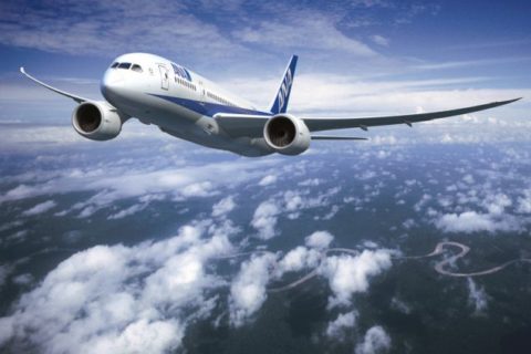 Jetzt nimmt der «Dreamliner» auch in Japan wieder den regulären Betrieb auf. Foto: ANA