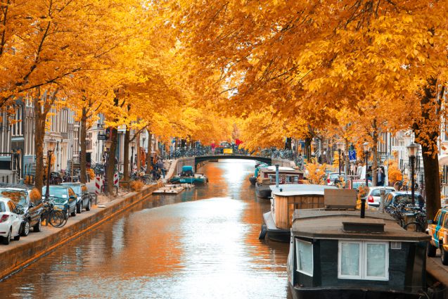 Foto: Shutterstock