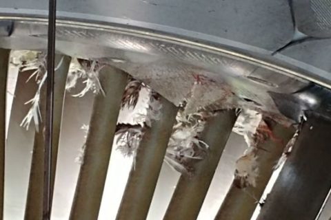 Foto: AeroInternational