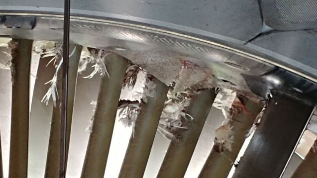 Foto: AeroInternational