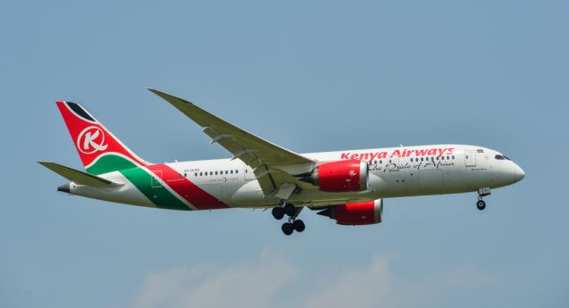 Blinder Passagier Sturzt Aus Flugzeug In Londoner Garten Aero