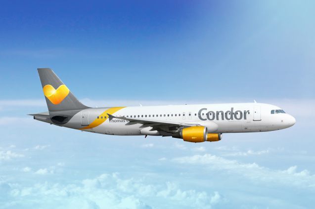 Foto: Condor