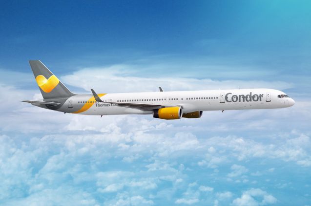 Foto: Condor