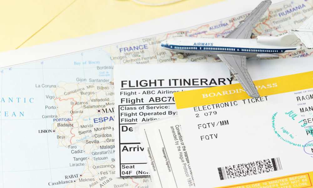 Bei vielen Airlines ist die Anmeldung eines Tiertransports bis 24 Stunden vor dem Flug möglich. Am besten bucht man das Ticket gleich mit dem eigenen. Bild: shutterstock