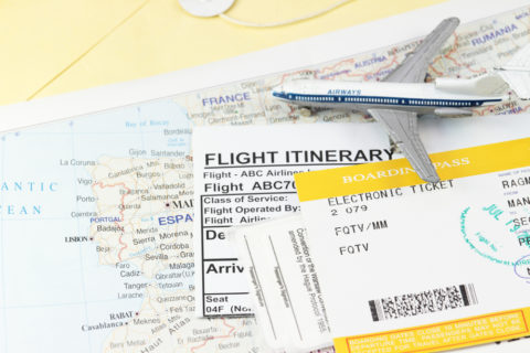 Bei vielen Airlines ist die Anmeldung eines Tiertransports bis 24 Stunden vor dem Flug möglich. Am besten bucht man das Ticket gleich mit dem eigenen. Bild: shutterstock