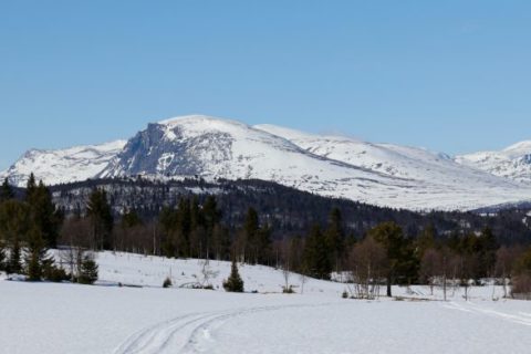 Foto: Shutterstock