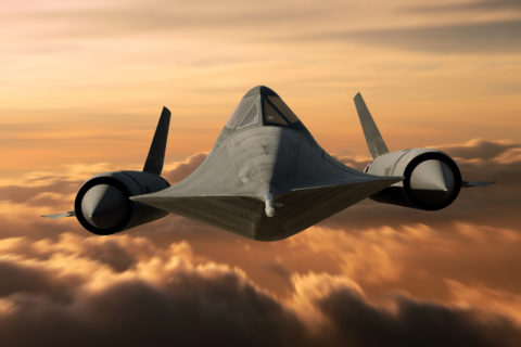 Seit 50 Jahren gibt es den Black Bird schon. Foto: Shutterstock