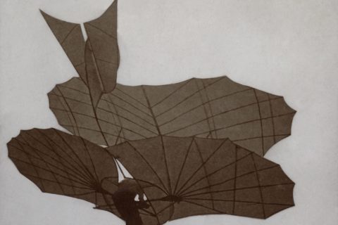 Bei einem Selbstversuch mit seinem Flugapparat kam Lilienthal vor 120 Jahren ums Leben. Bild: shutterstock / Everett Historical