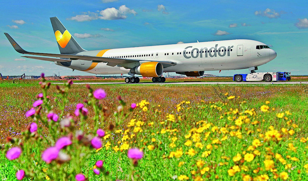 Condor wird in der Studie „Mit gutem Gewissen“, erhoben von Focus und Focus Money, als nachhaltige Fluggesellschaft ausgezeichnet. Bild: Condor