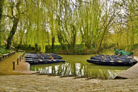 Die meisten Besucher erkunden das Marais Poitevin mit dem Boot. Bild: shutterstock /Sasha64f