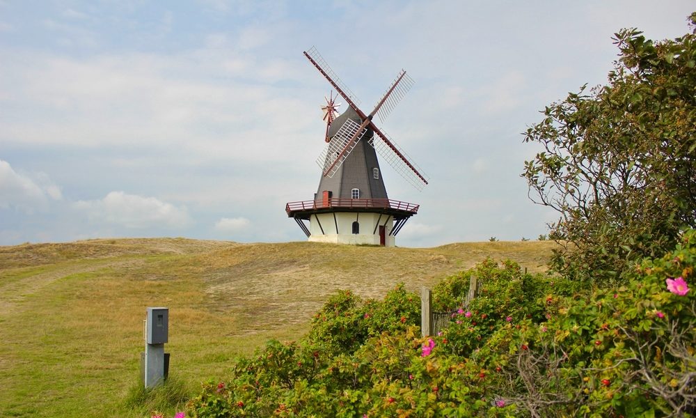 Windmühle auf der Insel Fanø. Bild: chbaum / shutterstock