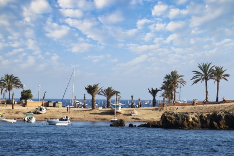 In der Nebensaison findet man auf Tabarca noch stille Ecken und Badebuchten. Bild: Jose Lledo / shutterstock
