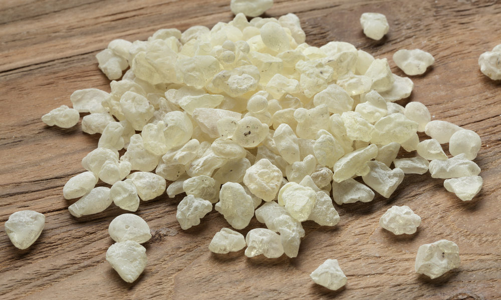 Mastix ist schon seit Jahrtausenden bekannt, im alten Ägypten brauchte man das Harz bei der Mumifizierung der Toten, vielerorts wurde es als Mittel gegen Bauchweh benutzt. Bild: shutterstock / picturepartners