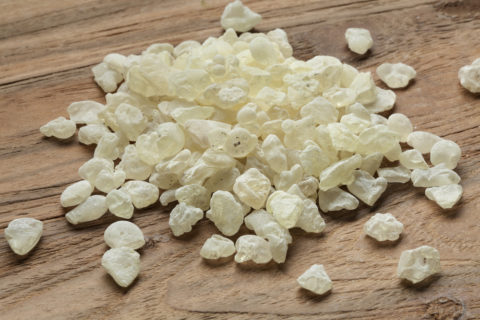 Mastix ist schon seit Jahrtausenden bekannt, im alten Ägypten brauchte man das Harz bei der Mumifizierung der Toten, vielerorts wurde es als Mittel gegen Bauchweh benutzt. Bild: shutterstock / picturepartners