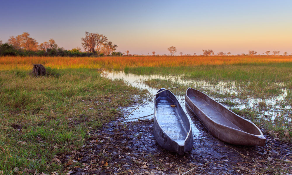 Schmale Einbaumkanus, genannt Mokoros, im Okavango Delta. Bild: shutterstock / gil_k