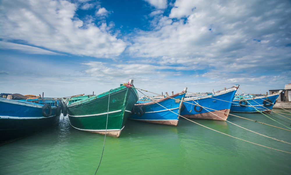 Auf Jaffna findet man intakte Natur, unberührte Strände und bunte Tempel. Bild: shutterstock / shutterlk