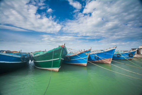 Auf Jaffna findet man intakte Natur, unberührte Strände und bunte Tempel. Bild: shutterstock / shutterlk