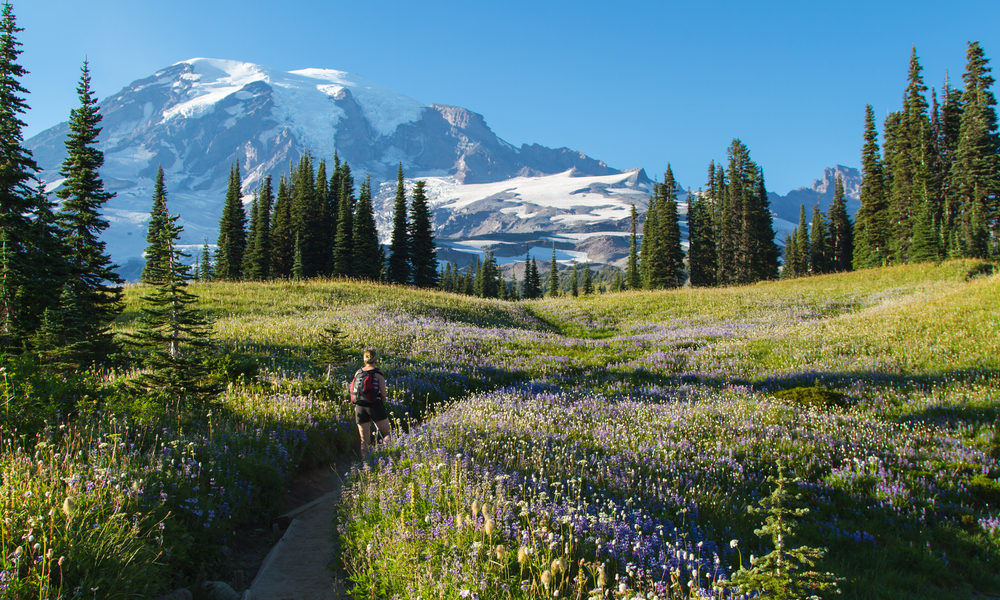 Wandern im Mount Rainier National Park im Spätsommer. Bild: Fremme / shutterstock