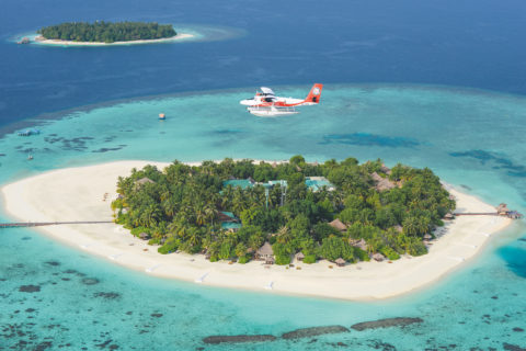 Foto: Shutterstock
