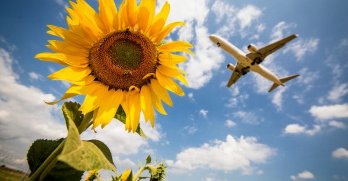 Fliegen ist zwar schlecht für die Umwelt, trotzdem gehört für einige Reisende das Fliegen zum Urlaub einfach dazu. SAFs könnten in ferner Zukunft der Ausweg aus dem Dilemma sein.