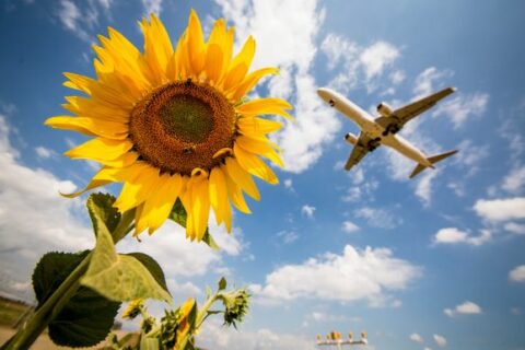 Fliegen ist zwar schlecht für die Umwelt, trotzdem gehört für einige Reisende das Fliegen zum Urlaub einfach dazu. SAFs könnten in ferner Zukunft der Ausweg aus dem Dilemma sein.