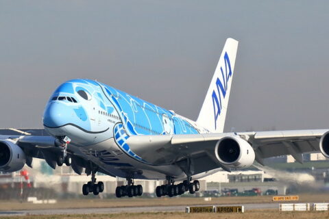 Neben der Buchung und Ausstellung von ANA-Flugtickets sind auch Änderungen der Reservierungen oder Rückerstattungen über den Online-Reiseanbieter möglich.