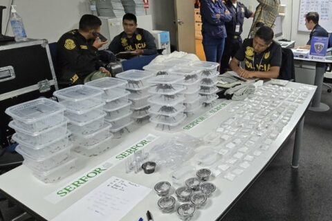 Wegen der Artenvielfalt kommt es gerade in Peru öfter zu Versuchen illegalen Tierhandels.