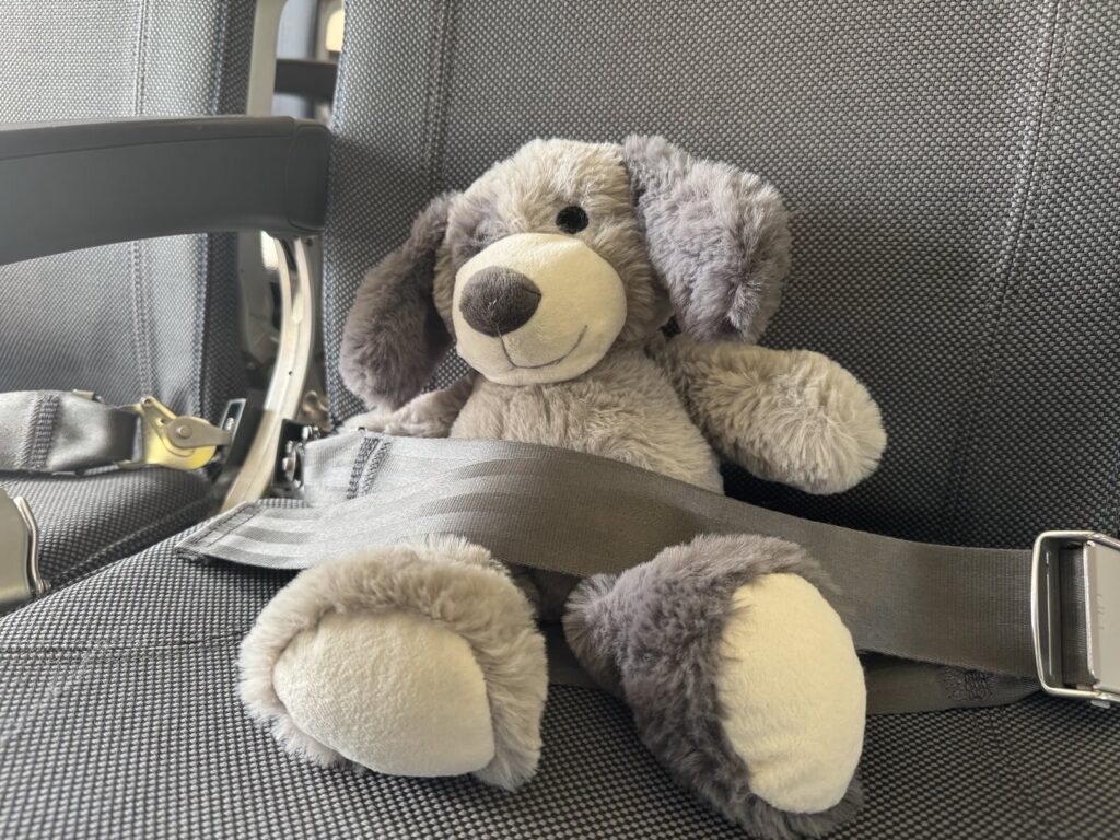 An Bord der SAS Boeing 737-700 werden auch Stofftiere als Trostspender der kleinen Patienten mitgeführt.