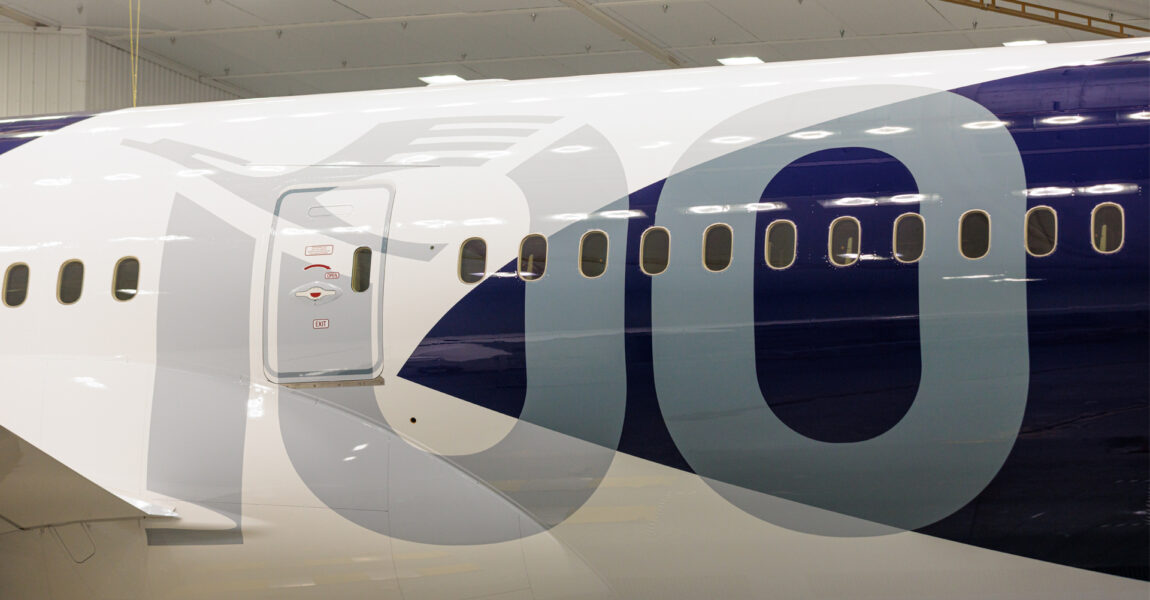 Der Rumpf des Flugzeugs erstrahlt in Dunkelblau, über dem ein weißer Kranich auffliegt.