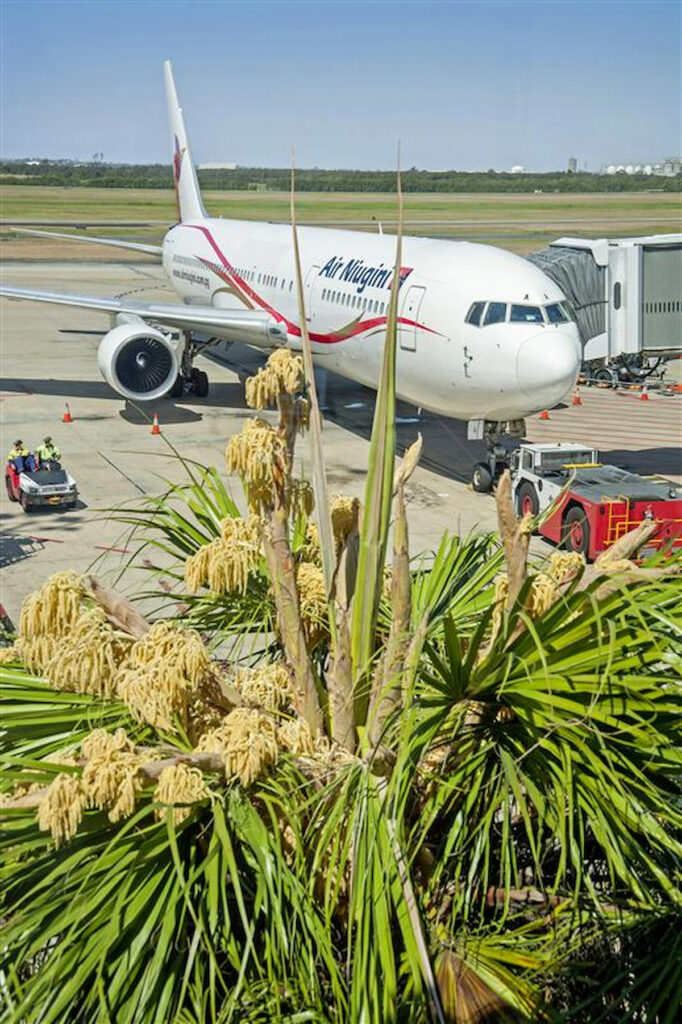Air Niugini Boeing 767 auf Rollfeld mit Gangway und Blumen im Vordergrund