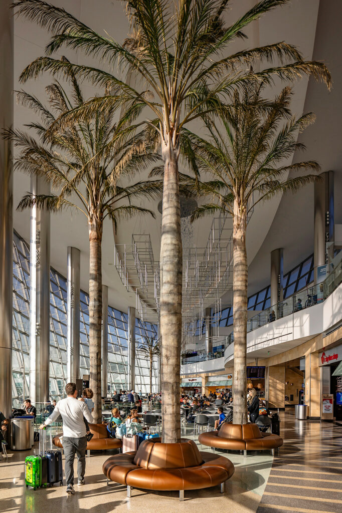 Ein Blick ins Terminal2: Unter Palmen lässt sich entspannt auf den Abflug warten.