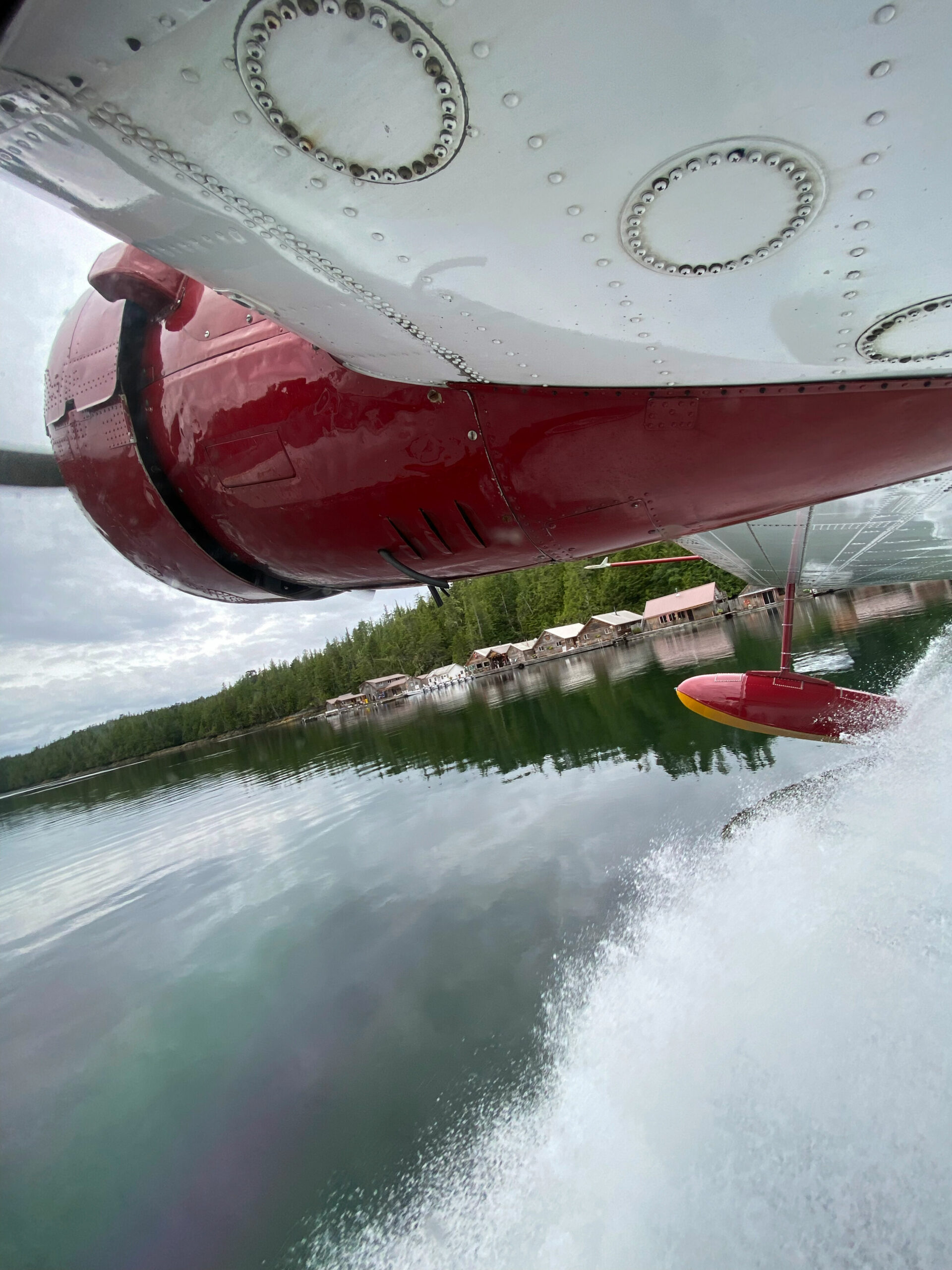 Schwimmer an den Flügelen