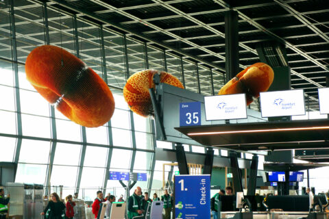 Besonders die Innenraumgestaltung und Architektur des neuen Terminals gefallen den Testpassagieren. Die Kunst an der Decke erinnert an große Donuts.