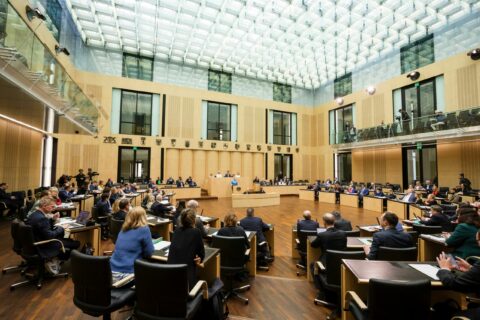 Digitale Fluggastabfertigung Bundesra