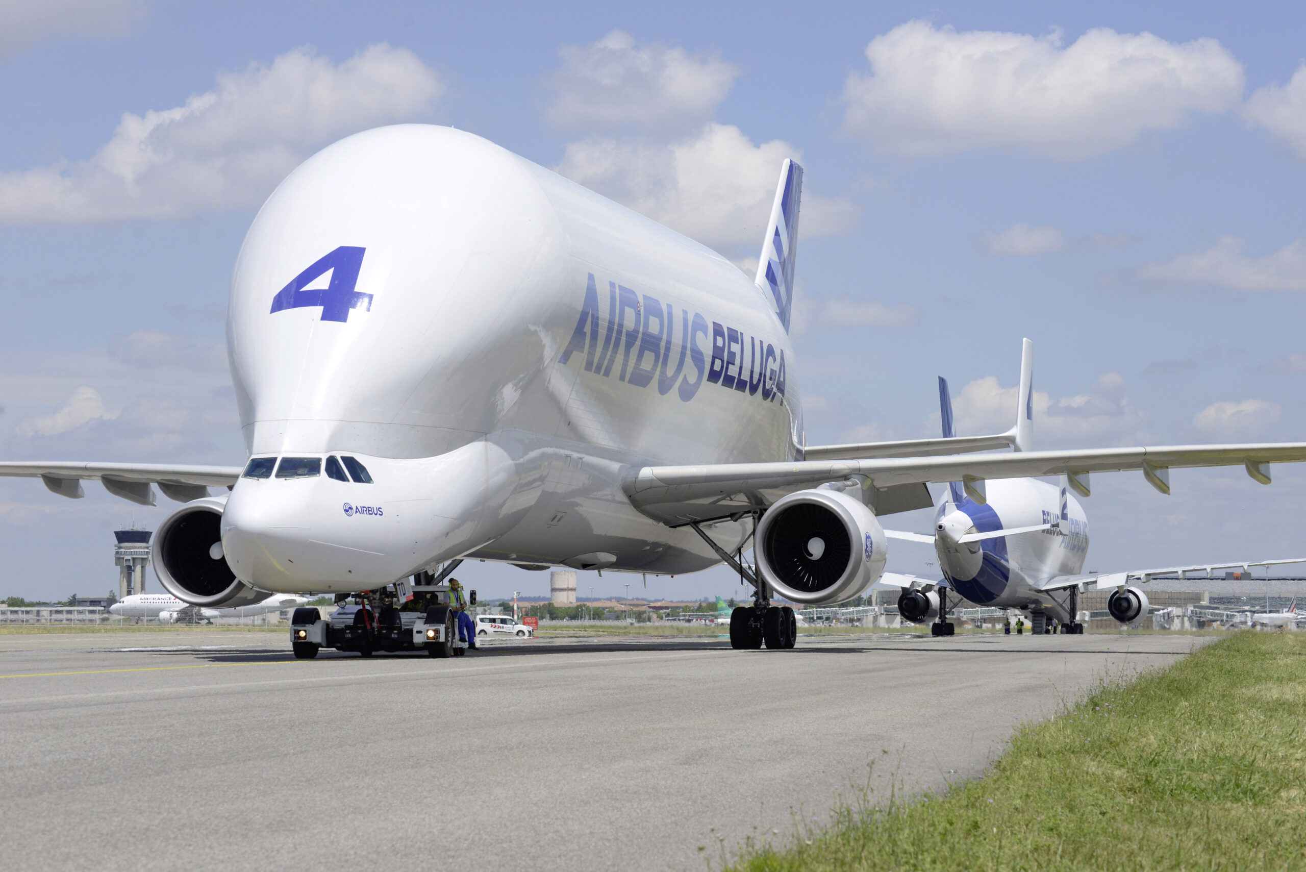 beluga Toulouse