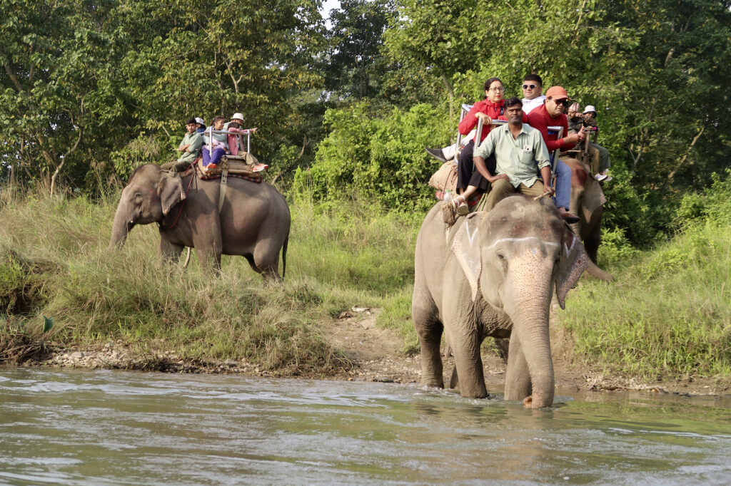 Touristen reiten auf Elefanten