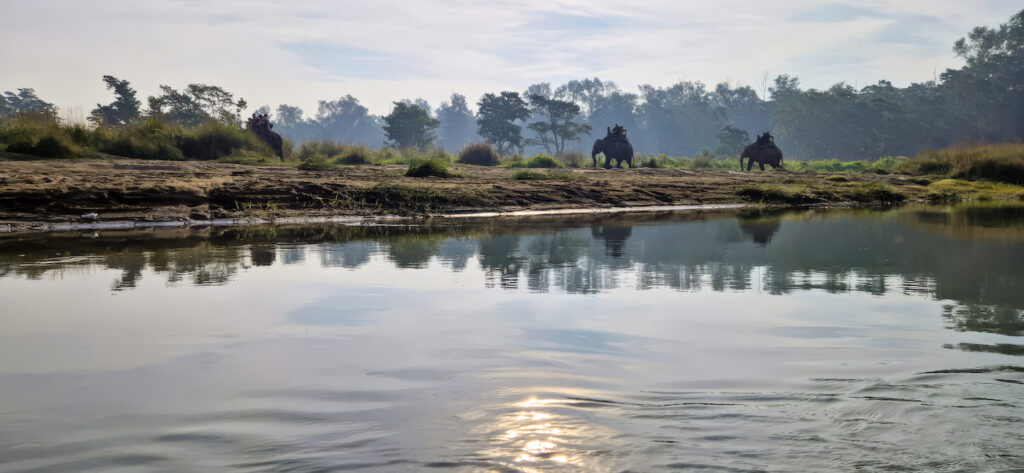 Fluss im Chitwan